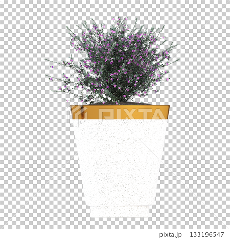 decorative flower in a pot isolate on a transparent background, 3D illustration, cg render decorative flower in a pot isolate on a transparent background, 3D illustration, cg render 133196547