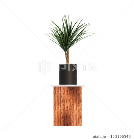 decorative flower in a pot isolate on a transparent background, 3D illustration, cg render 133196549