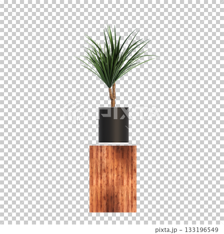 decorative flower in a pot isolate on a transparent background, 3D illustration, cg render 133196549