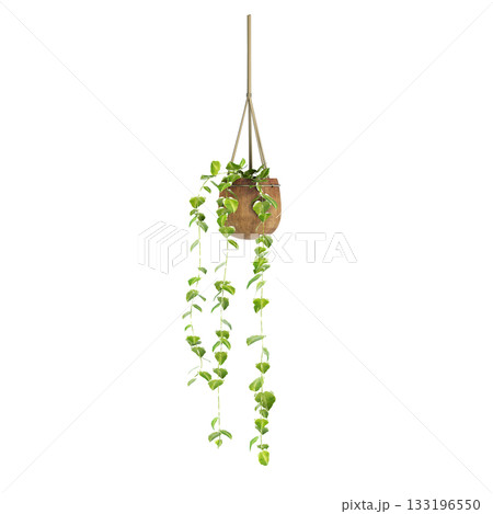 decorative flower in a pot isolate on a transparent background, 3D illustration, cg render 133196550