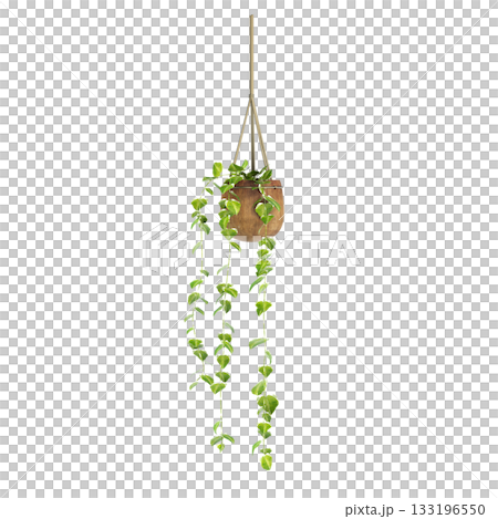 decorative flower in a pot isolate on a transparent background, 3D illustration, cg render 133196550