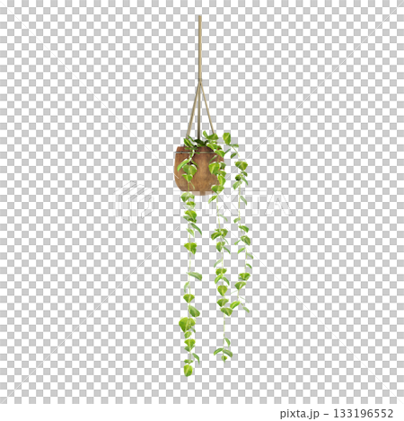 decorative flower in a pot isolate on a transparent background, 3D illustration, cg render 133196552