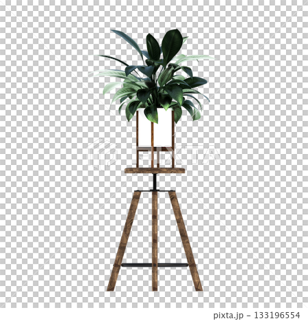 decorative flower in a pot isolate on a transparent background, 3D illustration, cg render decorative flower in a pot isolate on a transparent background, 3D illustration, cg render 133196554