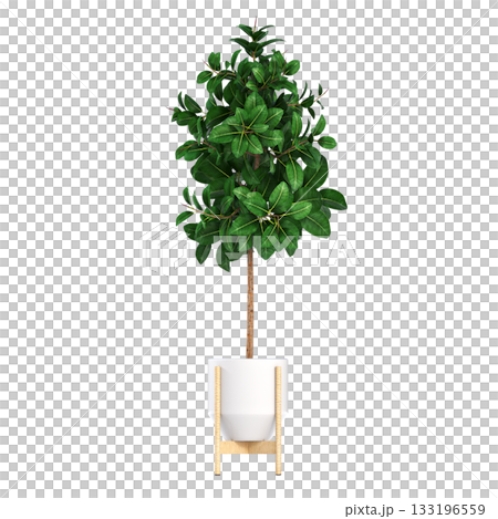 decorative flower in a pot isolate on a transparent background, 3D illustration, cg render decorative flower in a pot isolate on a transparent background, 3D illustration, cg render 133196559