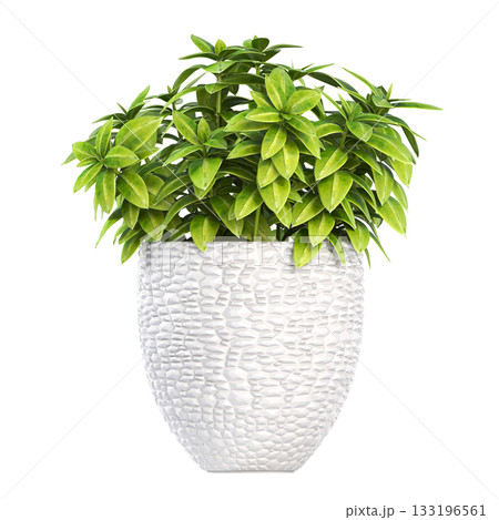 decorative flower in a pot isolate on a transparent background, 3D illustration, cg render decorative flower in a pot isolate on a transparent background, 3D illustration, cg render 133196561