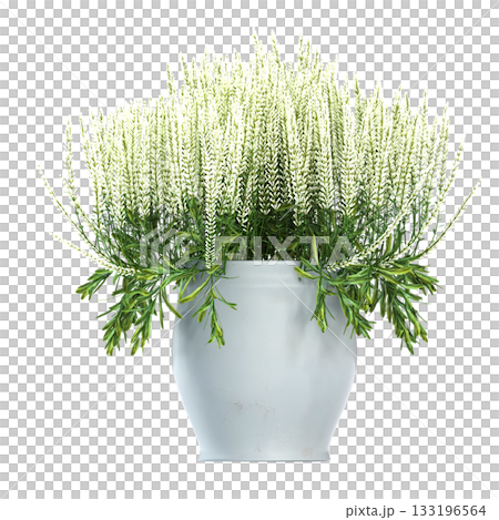 decorative flower in a pot isolate on a transparent background, 3D illustration, cg render decorative flower in a pot isolate on a transparent background, 3D illustration, cg render 133196564