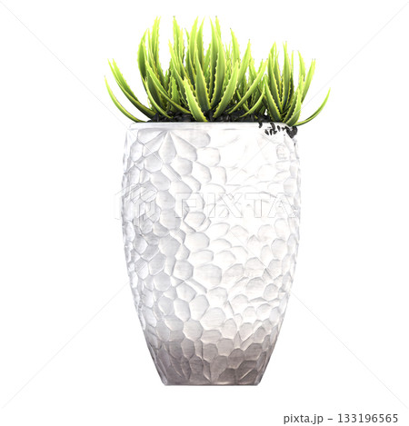 decorative flower in a pot isolate on a transparent background, 3D illustration, cg render 133196565