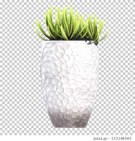 decorative flower in a pot isolate on a transparent background, 3D illustration, cg render 133196565