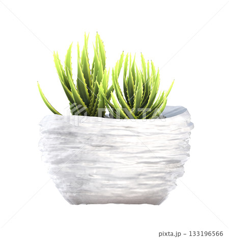 decorative flower in a pot isolate on a transparent background, 3D illustration, cg render decorative flower in a pot isolate on a transparent background, 3D illustration, cg render 133196566