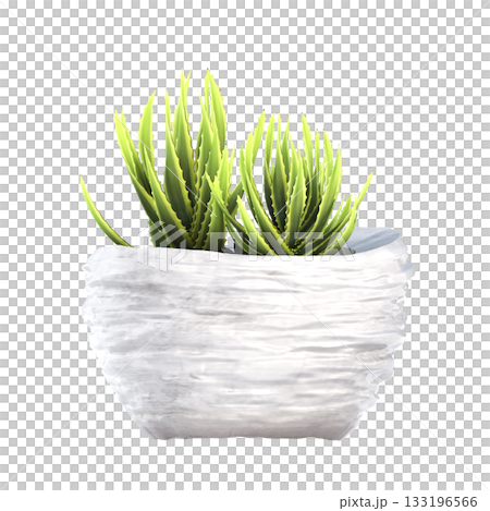 decorative flower in a pot isolate on a transparent background, 3D illustration, cg render decorative flower in a pot isolate on a transparent background, 3D illustration, cg render 133196566