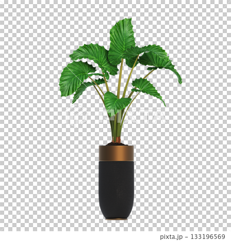 decorative flower in a pot isolate on a transparent background, 3D illustration, cg render 133196569