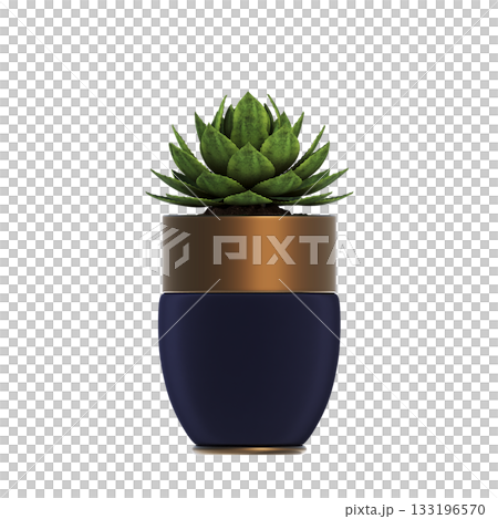 decorative flower in a pot isolate on a transparent background, 3D illustration, cg render 133196570