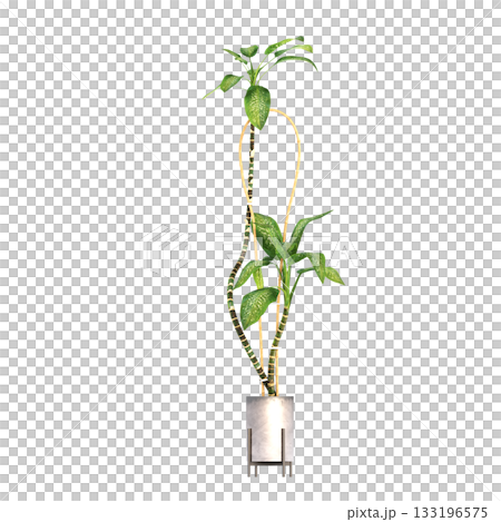 decorative flower in a pot isolate on a transparent background, 3D illustration, cg render 133196575