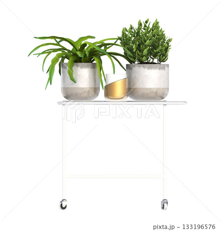 decorative flower in a pot isolate on a transparent background, 3D illustration, cg render 133196576
