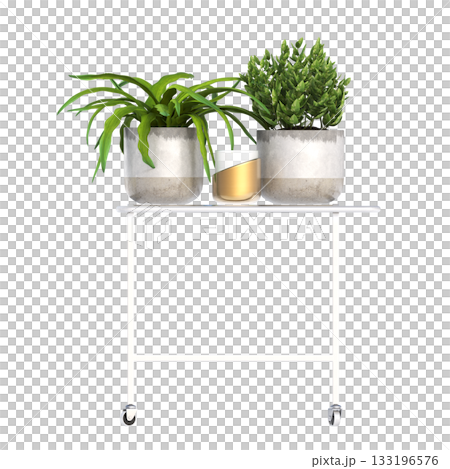 decorative flower in a pot isolate on a transparent background, 3D illustration, cg render 133196576