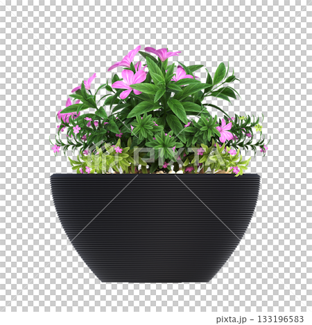 decorative flower in a pot isolate on a transparent background, 3D illustration, cg render 133196583
