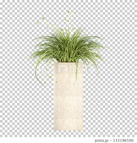 decorative flower in a pot isolate on a transparent background, 3D illustration, cg render decorative flower in a pot isolate on a transparent background, 3D illustration, cg render 133196590