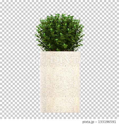 decorative flower in a pot isolate on a transparent background, 3D illustration, cg render 133196591