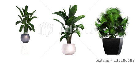 decorative flower in a pot isolate on a transparent background, 3D illustration, cg render decorative flower in a pot isolate on a transparent background, 3D illustration, cg render 133196598