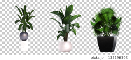 decorative flower in a pot isolate on a transparent background, 3D illustration, cg render decorative flower in a pot isolate on a transparent background, 3D illustration, cg render 133196598