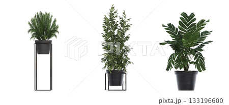 decorative flower in a pot isolate on a transparent background, 3D illustration, cg render 133196600