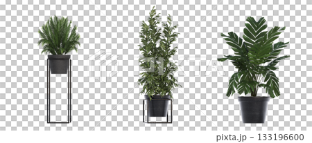 decorative flower in a pot isolate on a transparent background, 3D illustration, cg render 133196600