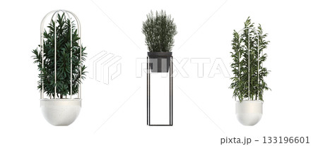 decorative flower in a pot isolate on a transparent background, 3D illustration, cg render 133196601