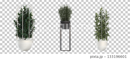 decorative flower in a pot isolate on a transparent background, 3D illustration, cg render 133196601
