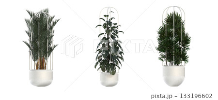 decorative flower in a pot isolate on a transparent background, 3D illustration, cg render 133196602