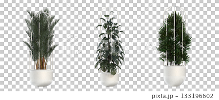 decorative flower in a pot isolate on a transparent background, 3D illustration, cg render 133196602