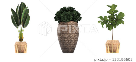 decorative flower in a pot isolate on a transparent background, 3D illustration, cg render 133196603