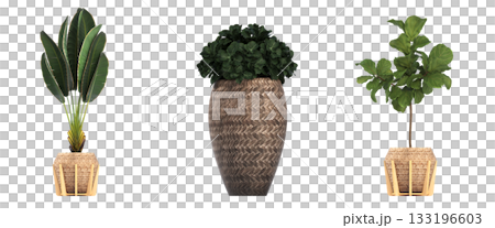 decorative flower in a pot isolate on a transparent background, 3D illustration, cg render 133196603