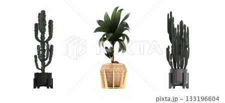 decorative flower in a pot isolate on a transparent background, 3D illustration, cg render decorative flower in a pot isolate on a transparent background, 3D illustration, cg render 133196604
