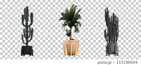 decorative flower in a pot isolate on a transparent background, 3D illustration, cg render 133196604