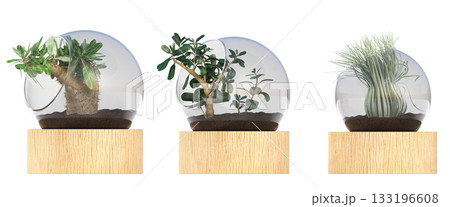 decorative flower in a pot isolate on a transparent background, 3D illustration, cg render decorative flower in a pot isolate on a transparent background, 3D illustration, cg render 133196608
