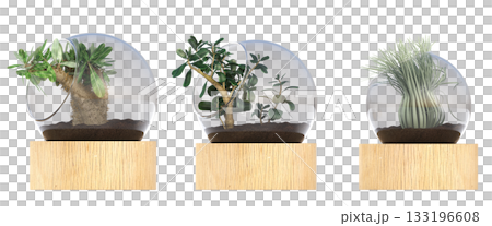 decorative flower in a pot isolate on a transparent background, 3D illustration, cg render decorative flower in a pot isolate on a transparent background, 3D illustration, cg render 133196608