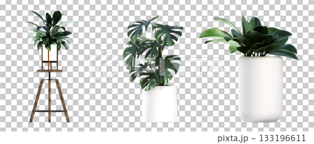 decorative flower in a pot isolate on a transparent background, 3D illustration, cg render 133196611