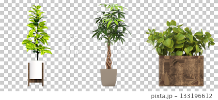 decorative flower in a pot isolate on a transparent background, 3D illustration, cg render decorative flower in a pot isolate on a transparent background, 3D illustration, cg render 133196612