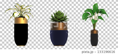 decorative flower in a pot isolate on a transparent background, 3D illustration, cg render decorative flower in a pot isolate on a transparent background, 3D illustration, cg render 133196616