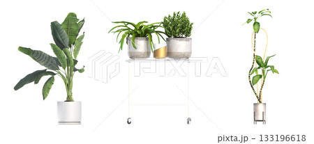 decorative flower in a pot isolate on a transparent background, 3D illustration, cg render decorative flower in a pot isolate on a transparent background, 3D illustration, cg render 133196618