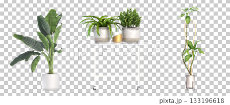 decorative flower in a pot isolate on a transparent background, 3D illustration, cg render decorative flower in a pot isolate on a transparent background, 3D illustration, cg render 133196618
