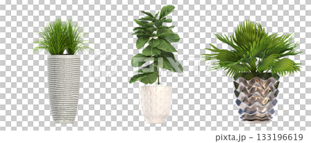 decorative flower in a pot isolate on a transparent background, 3D illustration, cg render 133196619