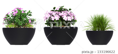 decorative flower in a pot isolate on a transparent background, 3D illustration, cg render 133196622