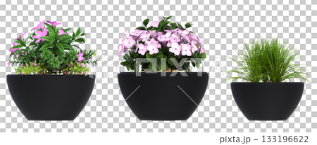 decorative flower in a pot isolate on a transparent background, 3D illustration, cg render 133196622