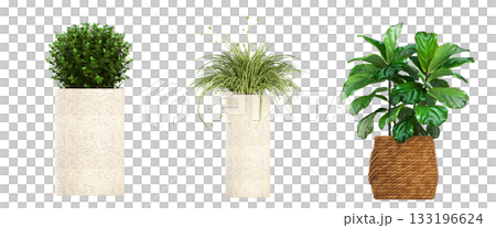 decorative flower in a pot isolate on a transparent background, 3D illustration, cg render decorative flower in a pot isolate on a transparent background, 3D illustration, cg render 133196624