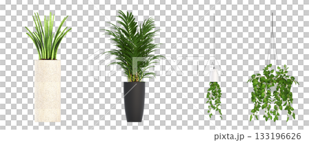 decorative flower in a pot isolate on a transparent background, 3D illustration, cg render decorative flower in a pot isolate on a transparent background, 3D illustration, cg render 133196626