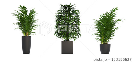 decorative flower in a pot isolate on a transparent background, 3D illustration, cg render decorative flower in a pot isolate on a transparent background, 3D illustration, cg render 133196627