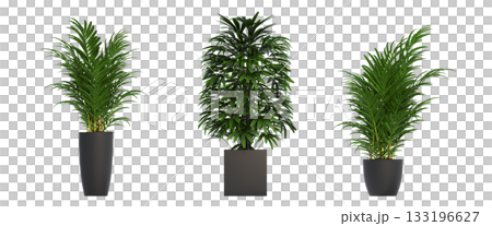 decorative flower in a pot isolate on a transparent background, 3D illustration, cg render decorative flower in a pot isolate on a transparent background, 3D illustration, cg render 133196627