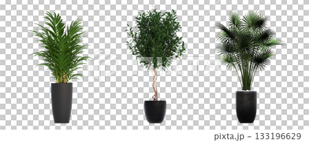 decorative flower in a pot isolate on a transparent background, 3D illustration, cg render 133196629