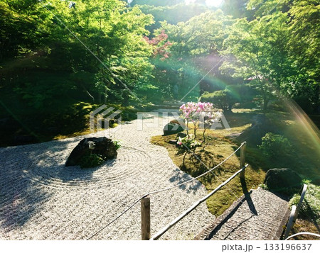 日本の庭園 日本の庭園 133196637